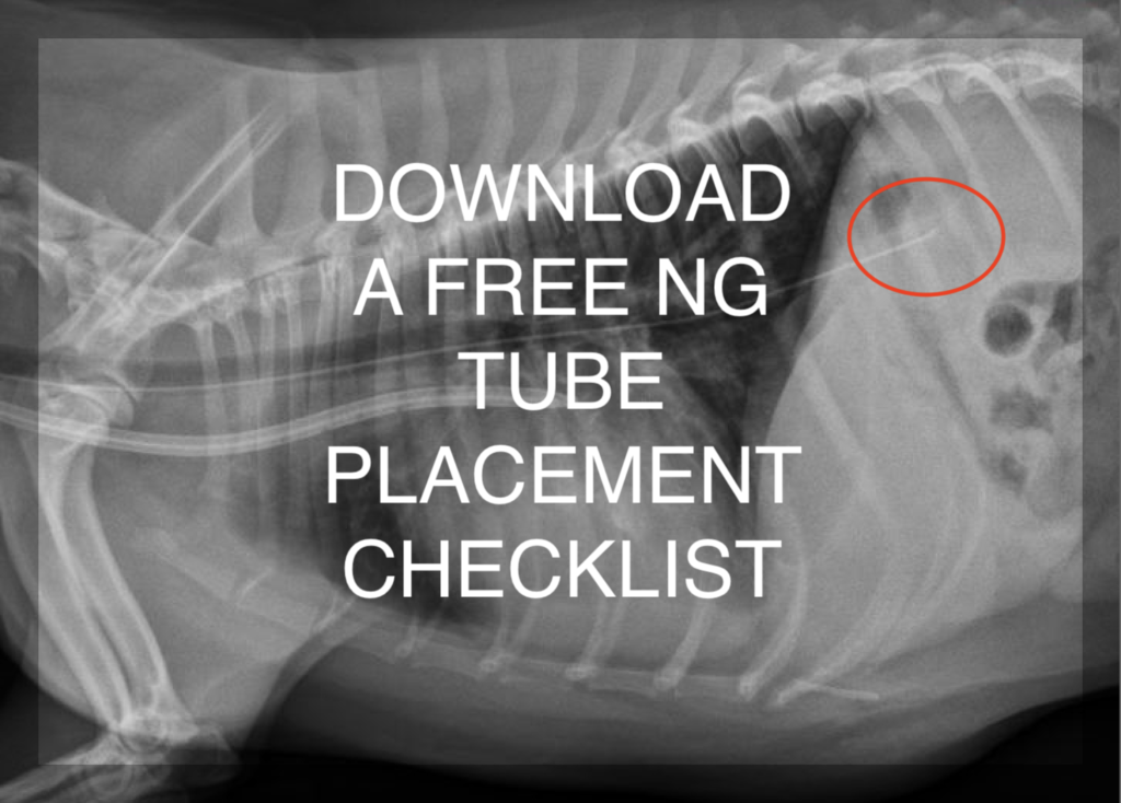 NG Tube Placement Checklist