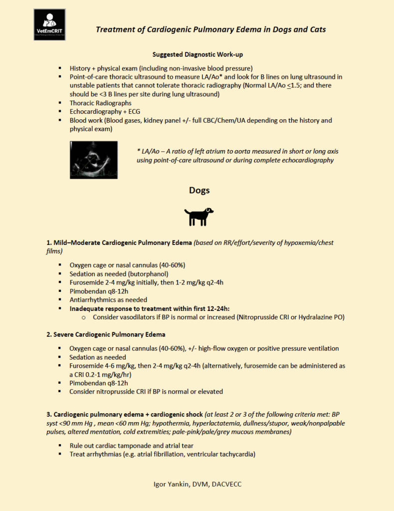 Treatment of Cardiogenic Pulmonary Edema in Dogs and Cats