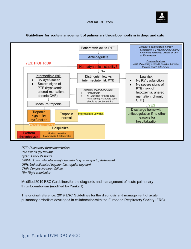 ESC Guidelines for the diagnosis