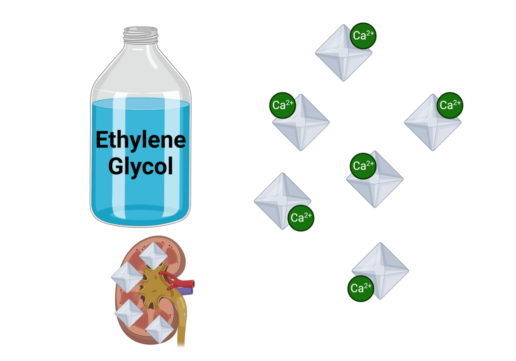 Ethylene glycol toxicity