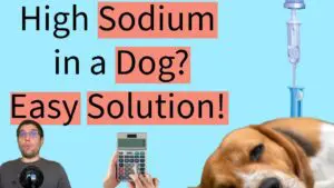 Custom sodium solution calculator for emergency vets
