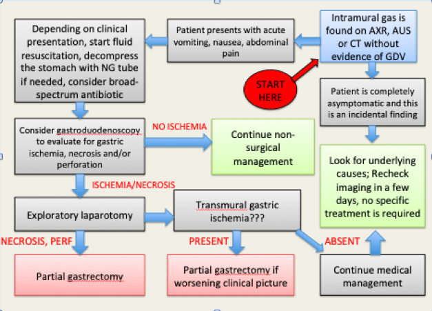 Dogs and Cats with gastric pneumatosis
