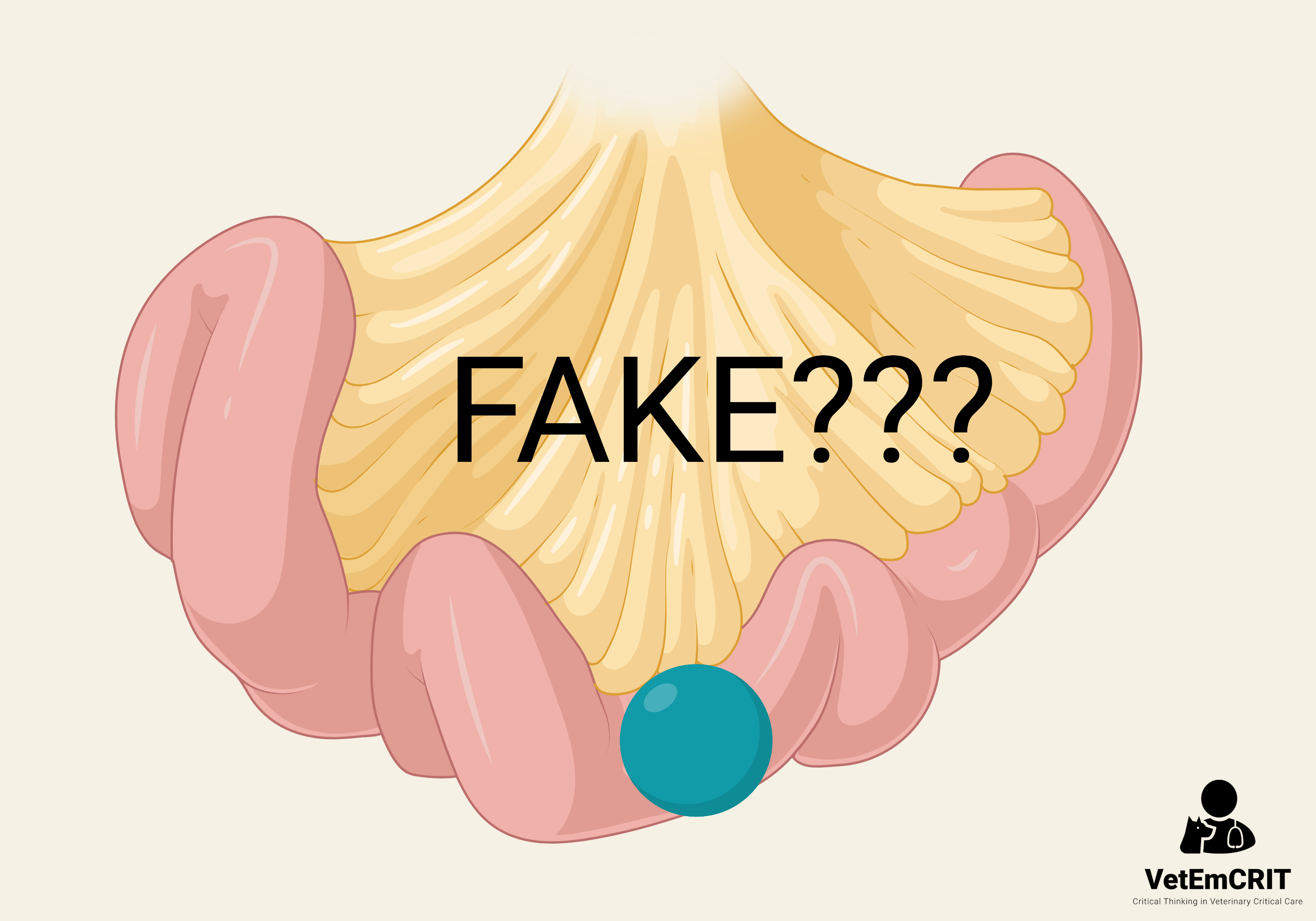 Mechanical GI Obstruction